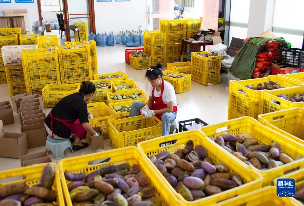 乐谷游戏送十万金币